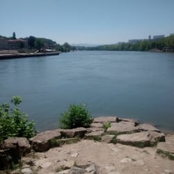 L'île Barbe