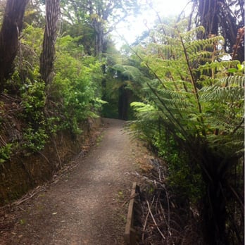 Arch Hill Scenic Reserve - Mountain Biking Near Me - Auckland, AUK