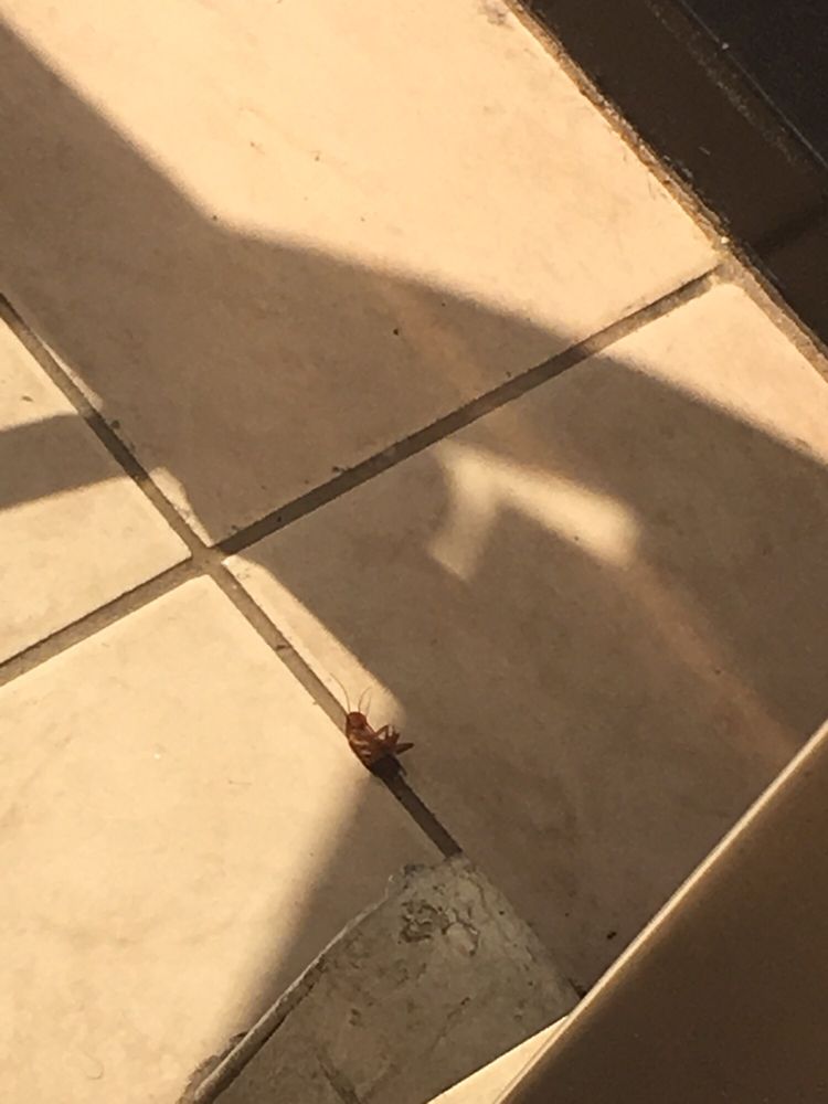 ALAMEDA INDUSTRIAL MEDICAL GROUP 23 Reviews 1907 E Washington Blvd