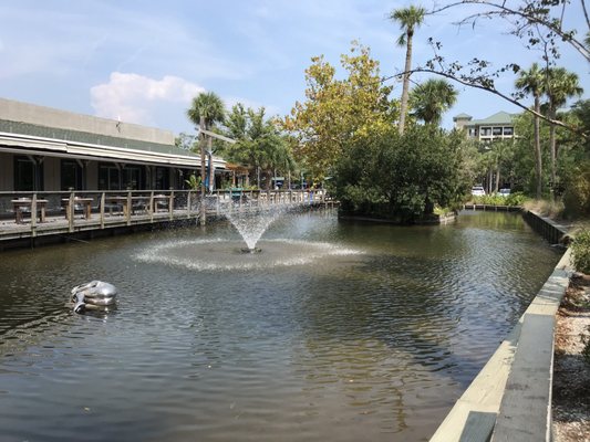 COLIGNY PLAZA - 56 Photos & 37 Reviews - 1 N Forest Beach Dr, Hilton ...