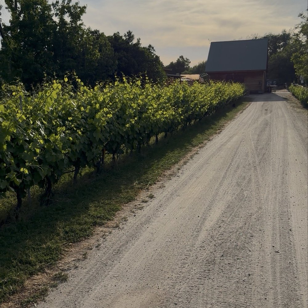 3 Oaks Vineyard - Entrance - Wineries Near Me - Clovis, California