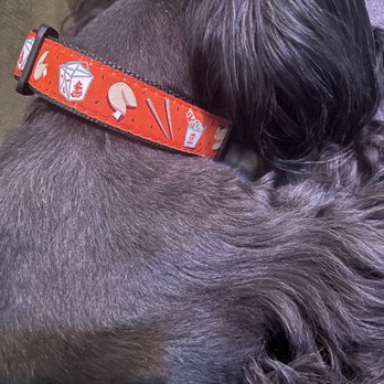 Dexter's Deli - New collar for Kilr & Venus - Pet Stores Near Me - San Diego, California Dexter's Deli - New collar for Kilr & Venus - Pet Stores Near Me - San Diego, California