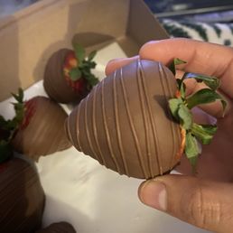 Chocolate Covered Strawberries