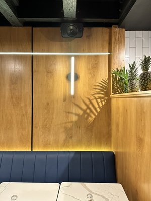 Birds of Paradise by null