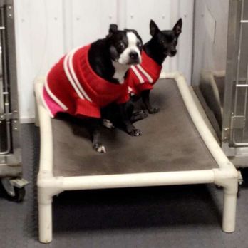 Fast Tracks Canine Activity Center - Pet Groomers Near Me - Cedar Falls, Iowa