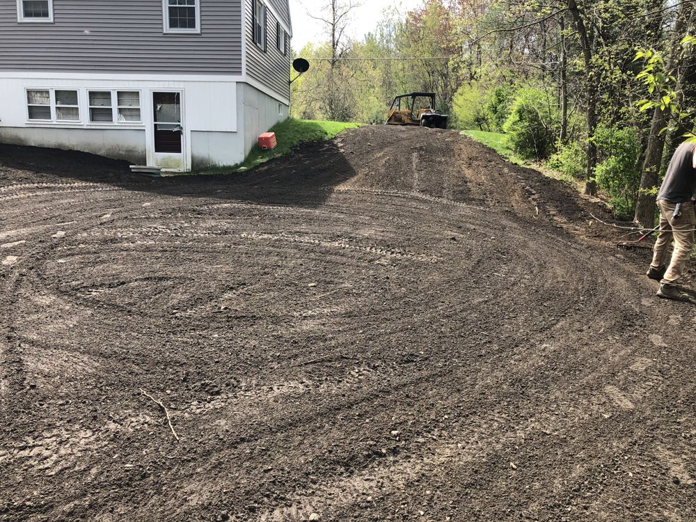 Slide of A Bee Septic