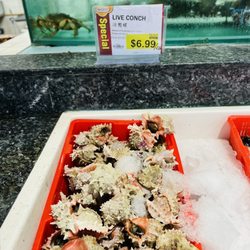 99 Ranch Market - Conch
