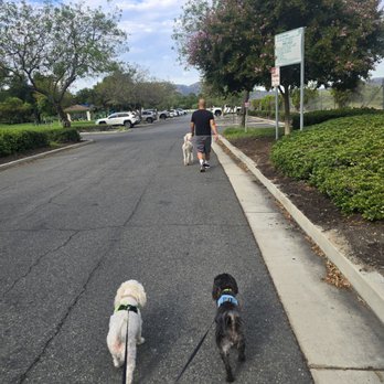 Redhawk Community Park - Dog Parks Near Me - Temecula, California Redhawk Community Park - Dog Parks Near Me - Temecula, California