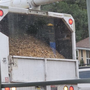 Tree-Mend-Us - all the small branches were chipped on site. - Tree Services Near Me - Medford, Oregon Tree-Mend-Us - all the small branches were chipped on site. - Tree Services Near Me - Medford, Oregon