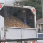 Photo of Tree-Mend-Us