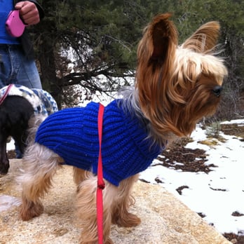 Cougar Crest Trail - He loved the trail! - Hiking Near Me Cougar Crest Trail - He loved the trail! - Hiking Near Me