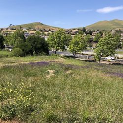 Hiddenbrooke Trail