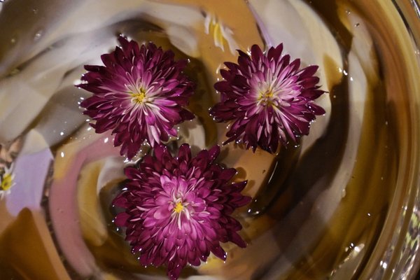 Mt. Royal Spa by null