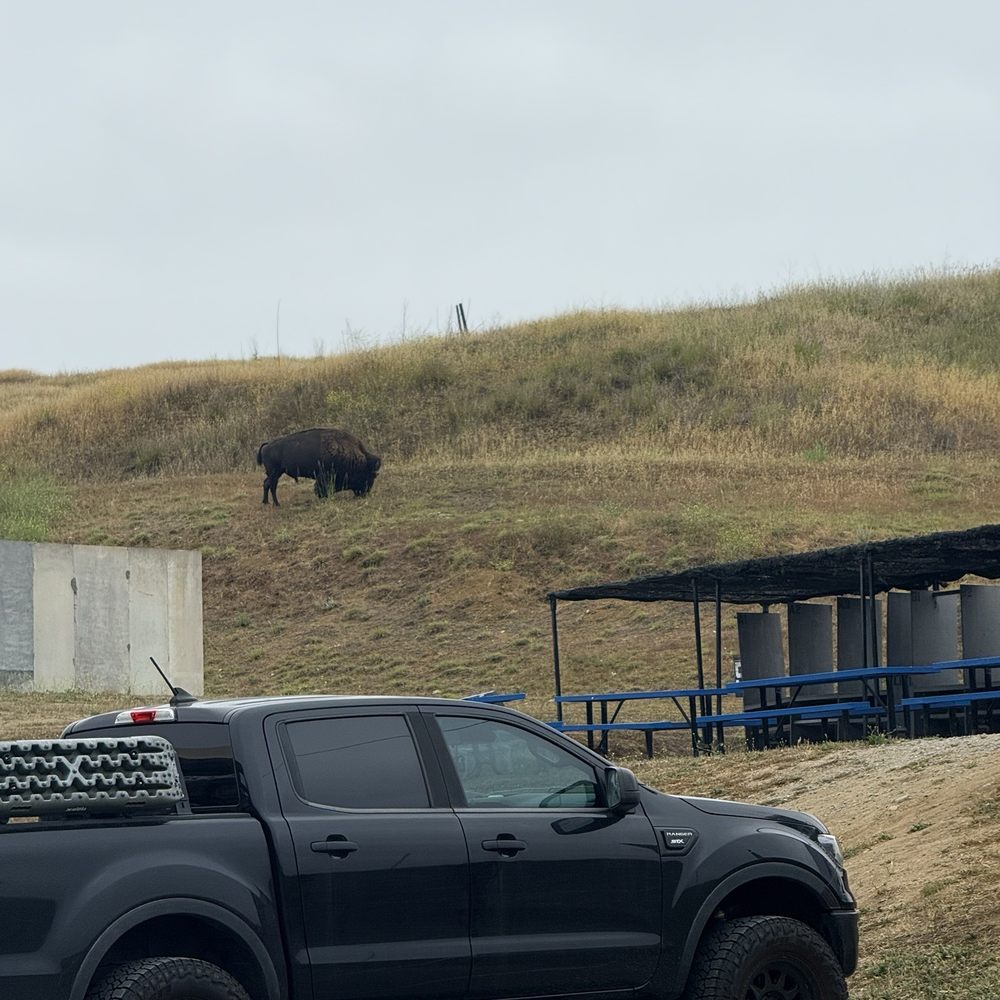 Camp Pendleton - Free range Bison - Firearm Training Near Me - San Clemente, California Camp Pendleton - Free range Bison - Firearm Training Near Me - San Clemente, California