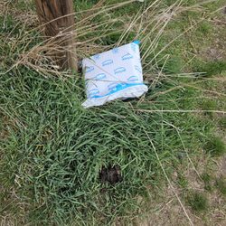 US Post Office - Package left in the weeds.