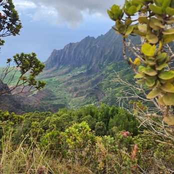 Pu'u o Kila Lookout - Hiking Near Me