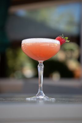 Sage Leaf Tahoe by null