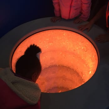 Children's Museum - The secret spy crystal well! - Children's Museums Near Me - Houston, Texas