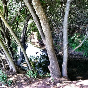 Rusch Park - Creek Area - Parks Near Me - Citrus Heights, California Rusch Park - Creek Area - Parks Near Me - Citrus Heights, California