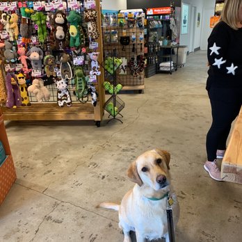Pet Spawt - My dog here. - Pet Stores Near Me - Holladay, Utah