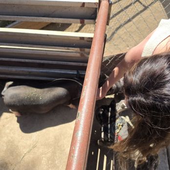 Montebello Barnyard Zoo - Petting Zoos Near Me - Montebello, California Montebello Barnyard Zoo - Petting Zoos Near Me - Montebello, California