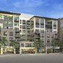 Denver Luxury Rentals