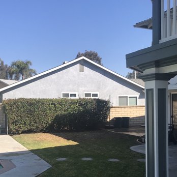 Rancho Tree Care - Camphor tree removed and ground flattened. - Tree Services Near Me Rancho Tree Care - Camphor tree removed and ground flattened. - Tree Services Near Me