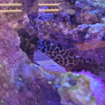 High Seas - Cannabis Dispensaries Near Me - Costa Mesa, California High Seas - Cannabis Dispensaries Near Me - Costa Mesa, California