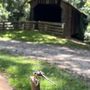 Howard's Covered Bridge