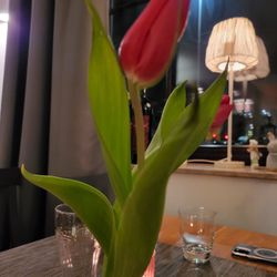 Cantina Da Tino - Fresh flowers