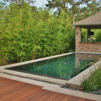 Outer Image Design - a pool surrounded by bamboos - Landscape Architects or Designers Near Me - Conroe, Texas