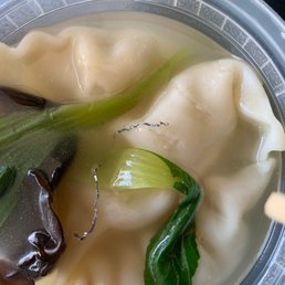 Dumpling Soup