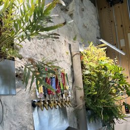Beer tap