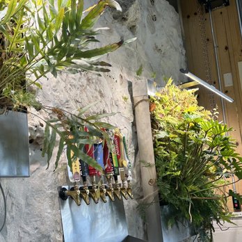Spring Creek Gardens - Beer tap - Landscaping Near Me - Spring Branch, Texas