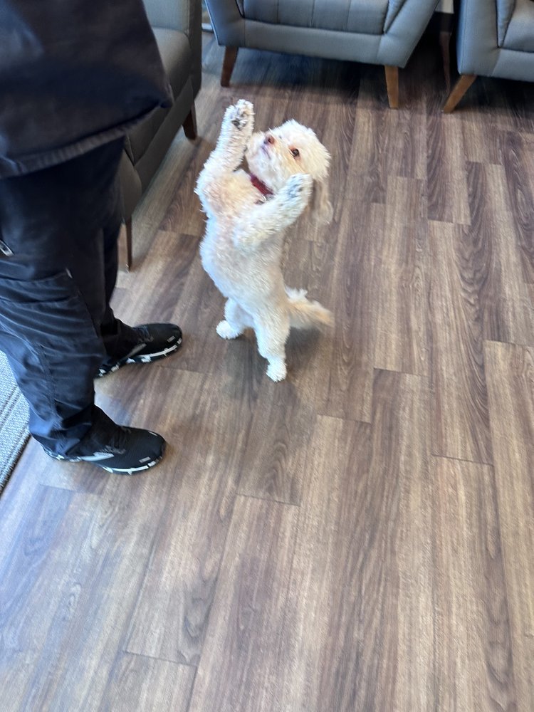 San Tan Family Dentistry