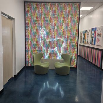Sugar Llamas - Rockwall - Inside area - Donuts Near Me - Heath, Texas