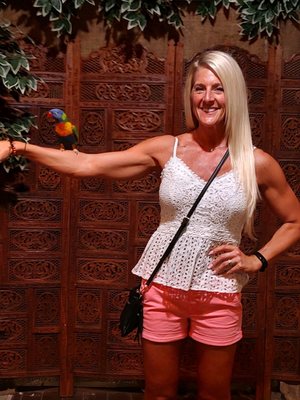 Bird Kingdom by null