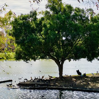 Tri-City Park - Parks Near Me - Placentia, California Tri-City Park - Parks Near Me - Placentia, California