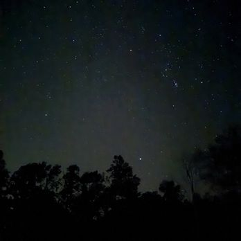 Charit Creek Lodge - Middle of the night star gazing - Hotels Near Me - Oneida, Tennessee