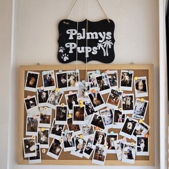 Palmys Pacific Beach - Breakfast & Brunch Near Me - San Diego, California Palmys Pacific Beach - Breakfast & Brunch Near Me - San Diego, California