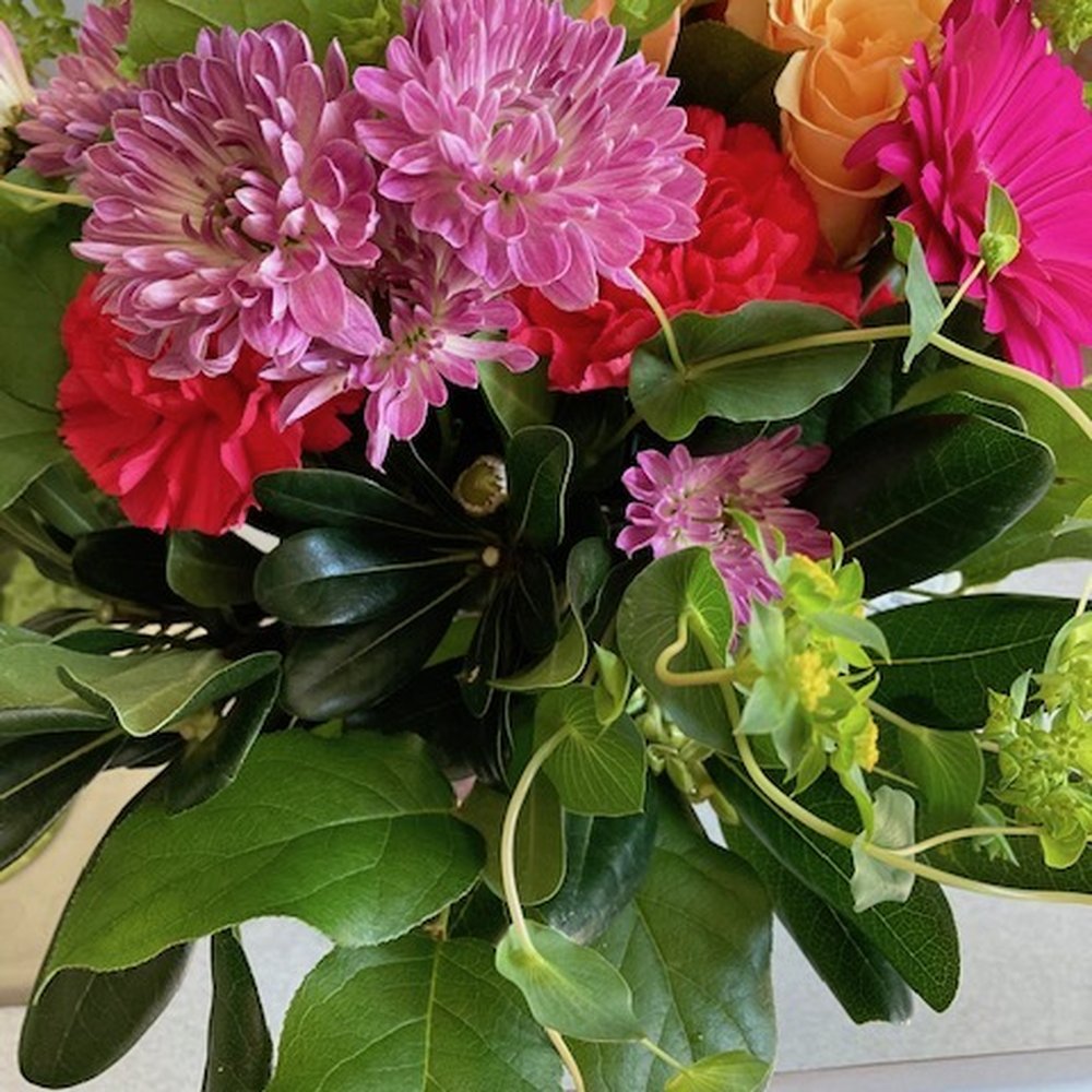 Seattle Flowers - Plain carnations and unimpressive green fillers. - Florists Near Me - Seattle, Washington Seattle Flowers - Plain carnations and unimpressive green fillers. - Florists Near Me - Seattle, Washington