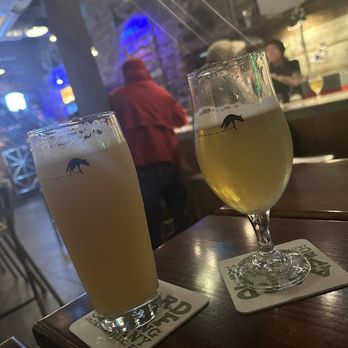 Aardwolf Brewing Company - Beer - Bars Near Me - Jacksonville, Florida