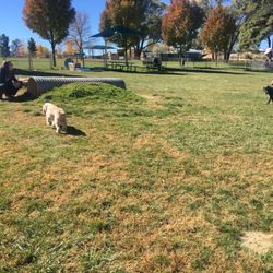 East Park Dog Zone