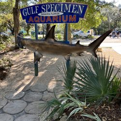 Gulf Specimen Marine Laboratories - One of several interesting welcoming signs.