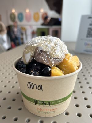 Aloha Aina Juice Cafe by null