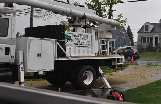 Precision Cutting Services - tree service in Orange, CT