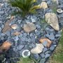 Photo of Magic Landscaping