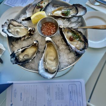 The Oyster Inn - Oysters - Hotels Near Me - Auckland, AUK The Oyster Inn - Oysters - Hotels Near Me - Auckland, AUK