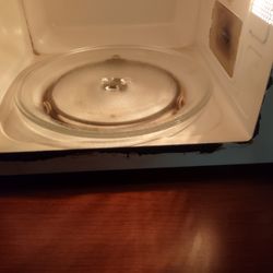 Regency Inn and Suites - No one I want to use this microwave