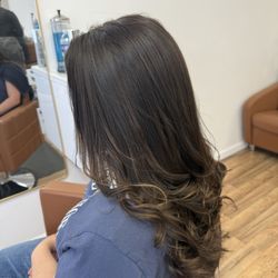Louly Marcus The Salon